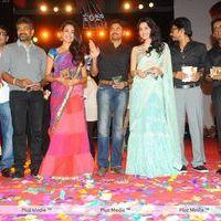 Panja Audio Release - Pictures | Picture 128499